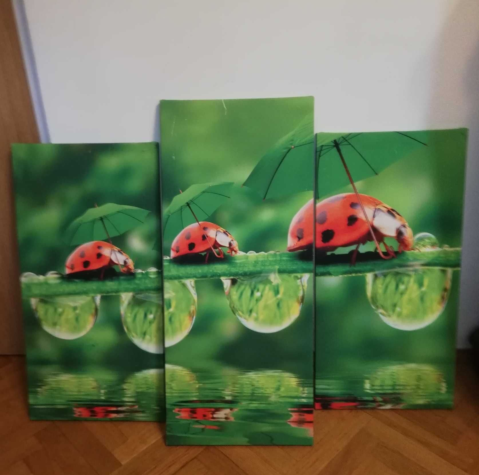 Zestaw obrazów-Tryptyk na płótnie