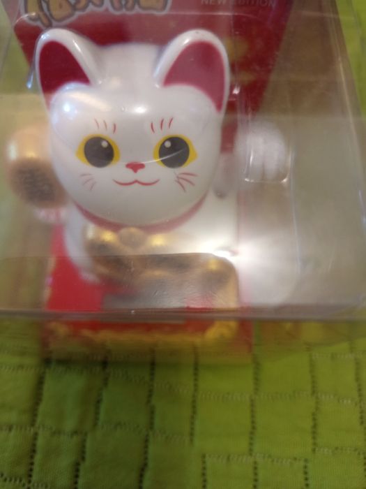 Gato da prosperidade novo.