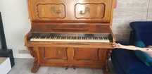 Drewno dwustuletnie w postaci pianina.