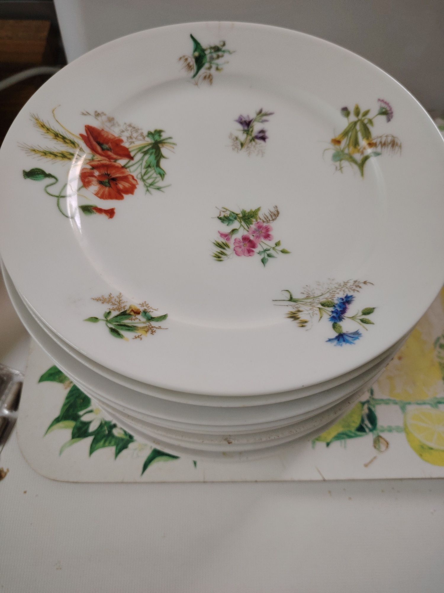 Pratos em porcelana francesa