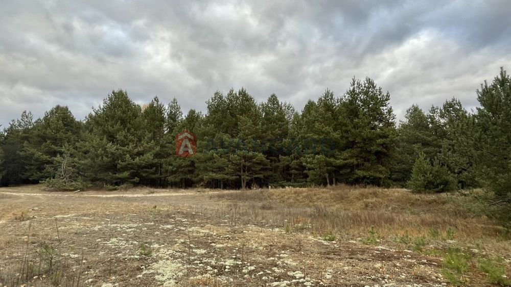 продаж земельної ділянки с.Завалівка
