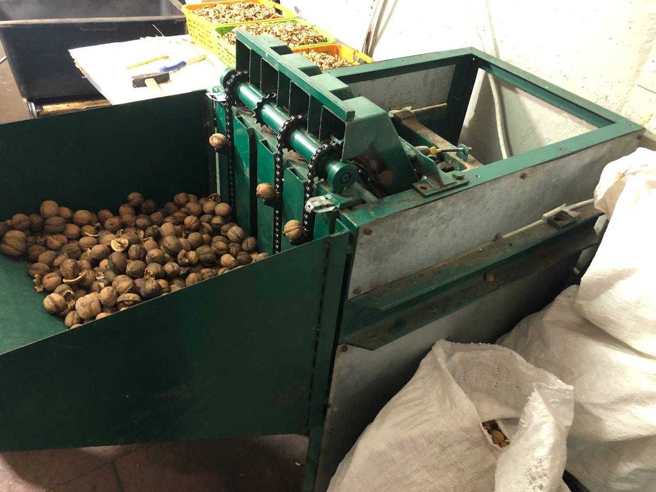 Комплекс обладнання для переробки волоського горіха
