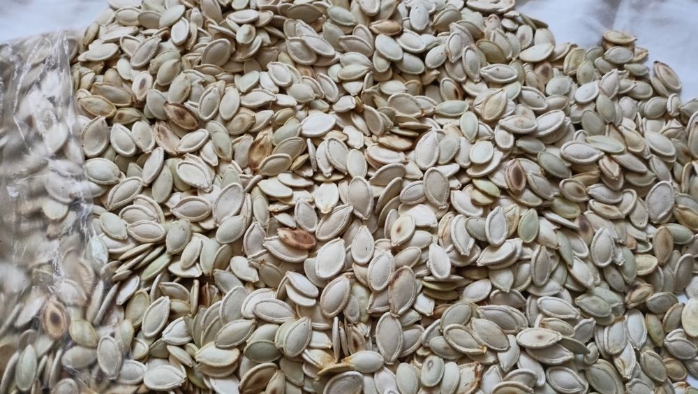 Pestki z dyni  suszone na wiejskim piecu