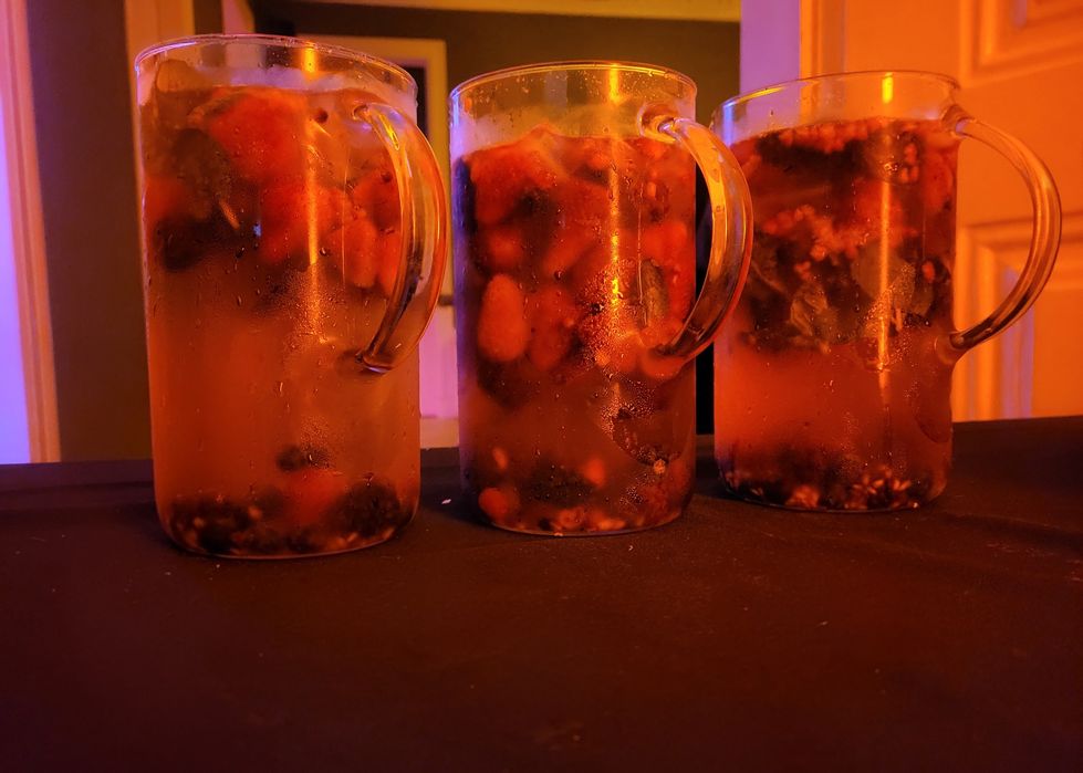 Serviço de catering / serviço de bar