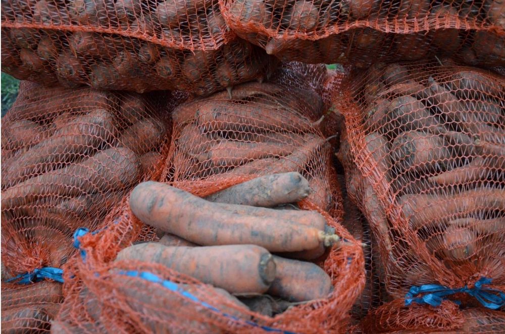 Marchew jadalna 1kg marchewka sortowana