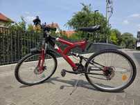 Rower Scorpion Active