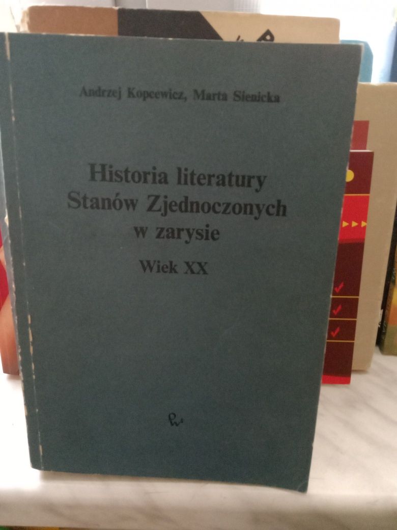 Historia literatury Stanów Zjednoczonych w zarysie. Wiek XX.