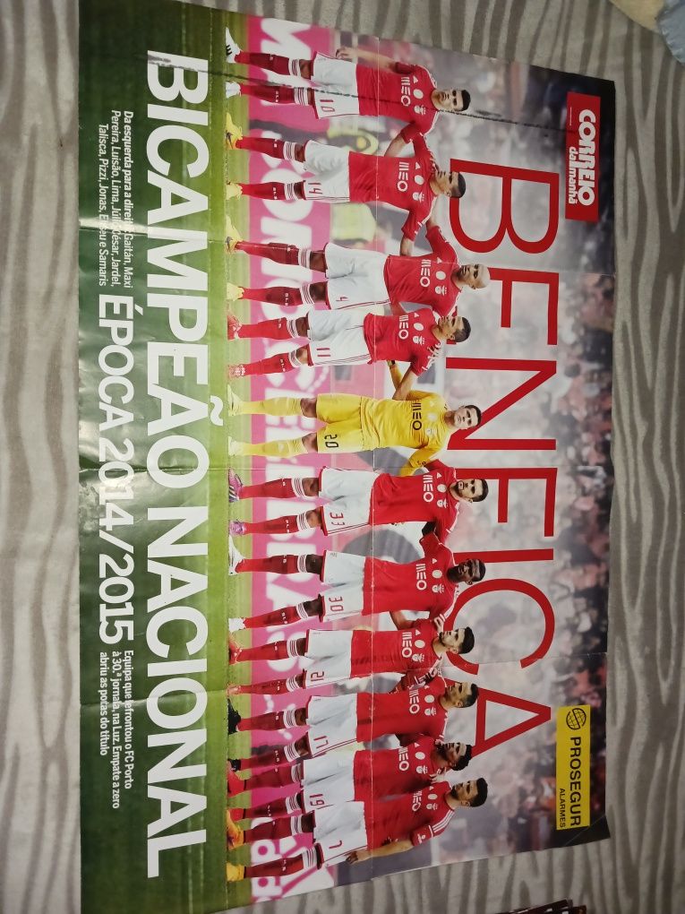Poster Benfica 2014/2015