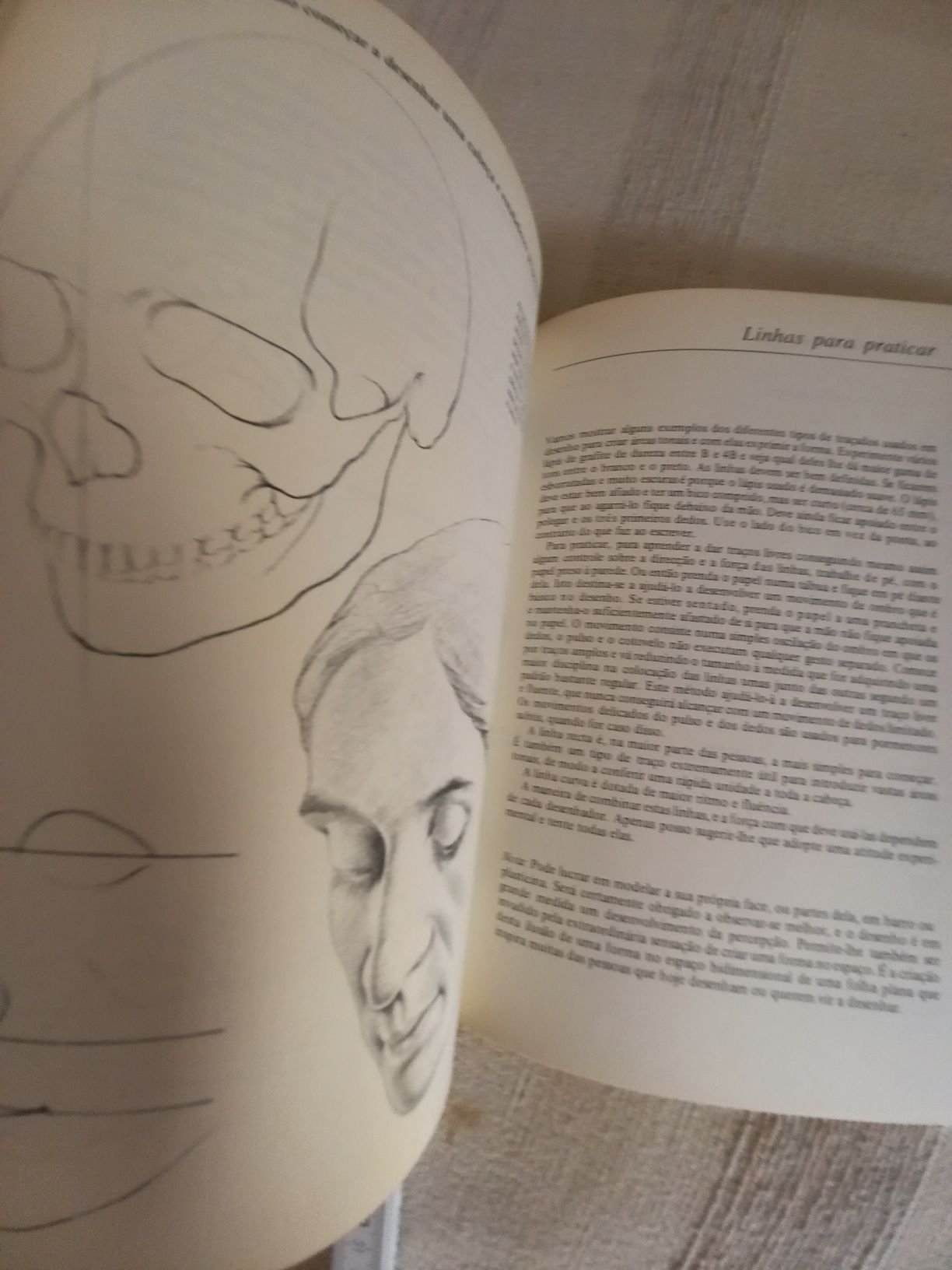 Livro de Desenho. Desenho da Cabeça Humana