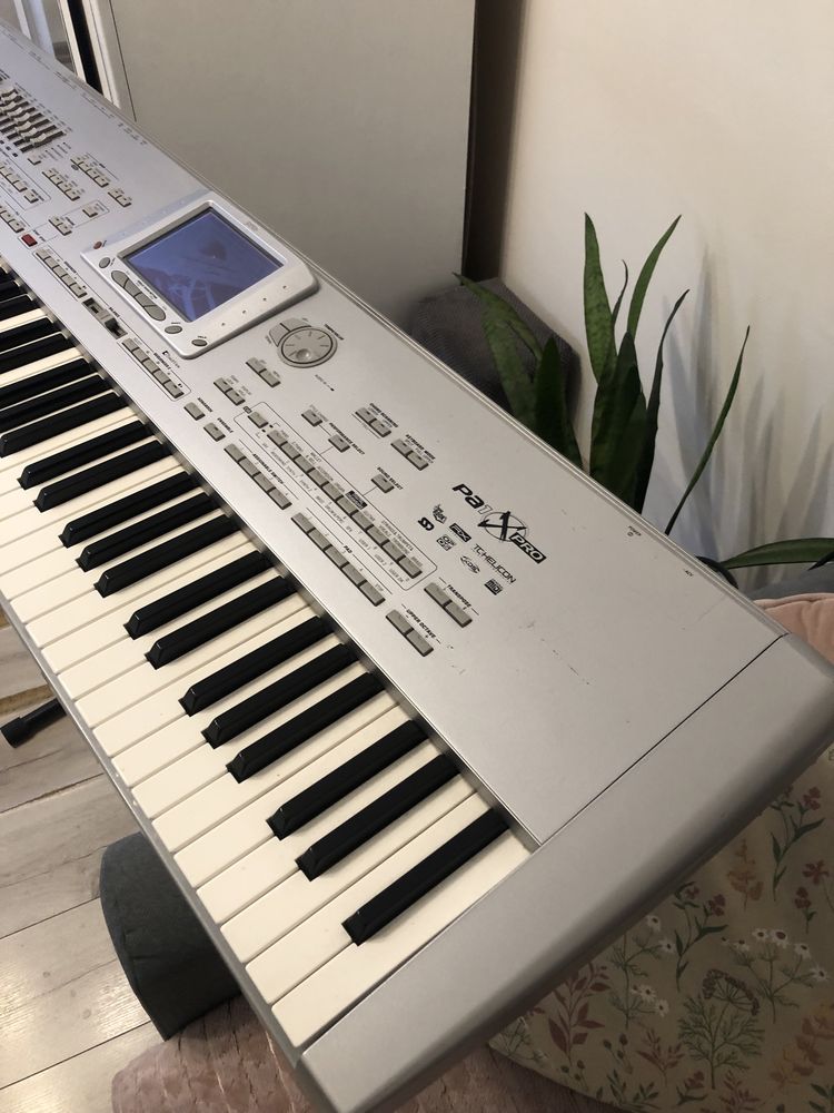 Korg Pa1x pro keyboard