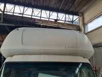 GLOB KURNIK SPANIE ŁÓŻKO DAF 45 55 LF