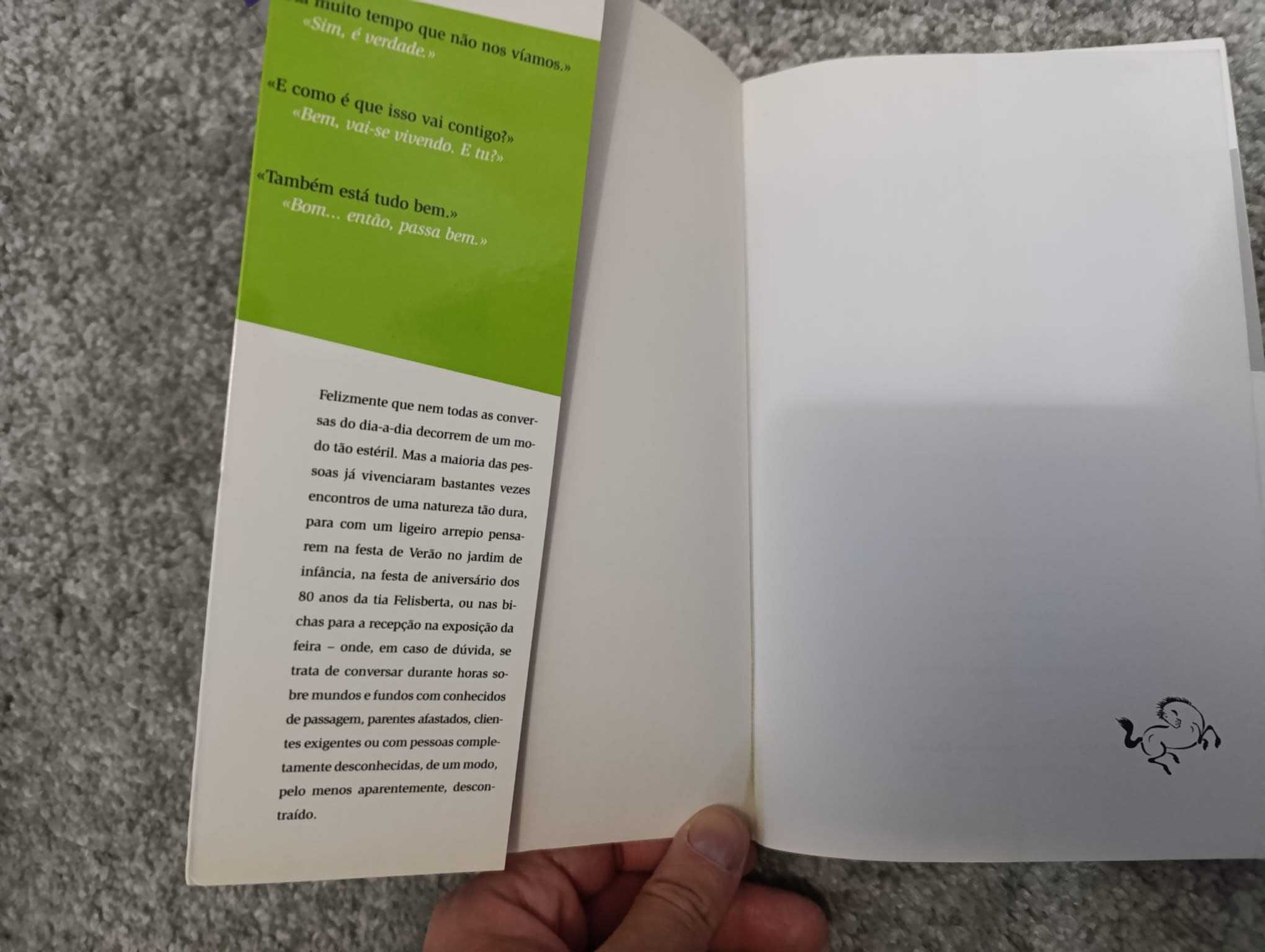 Small Talk: a arte superior da conversa do dia-a-dia (c/ envio)