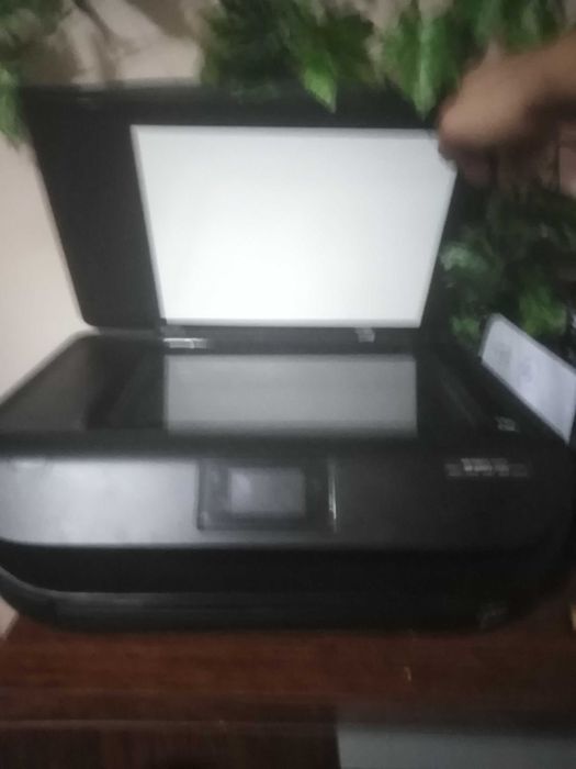 Drukarka hp enevy 4520