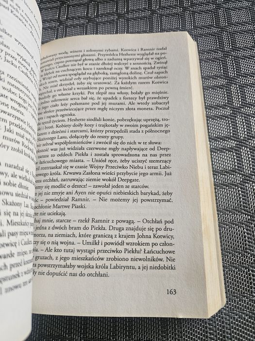 150. Książka żelazny anioł alad campbell