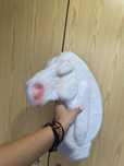 Hobby horse baza