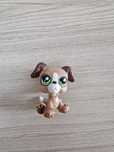 littlest pet shop LPS piesek pies