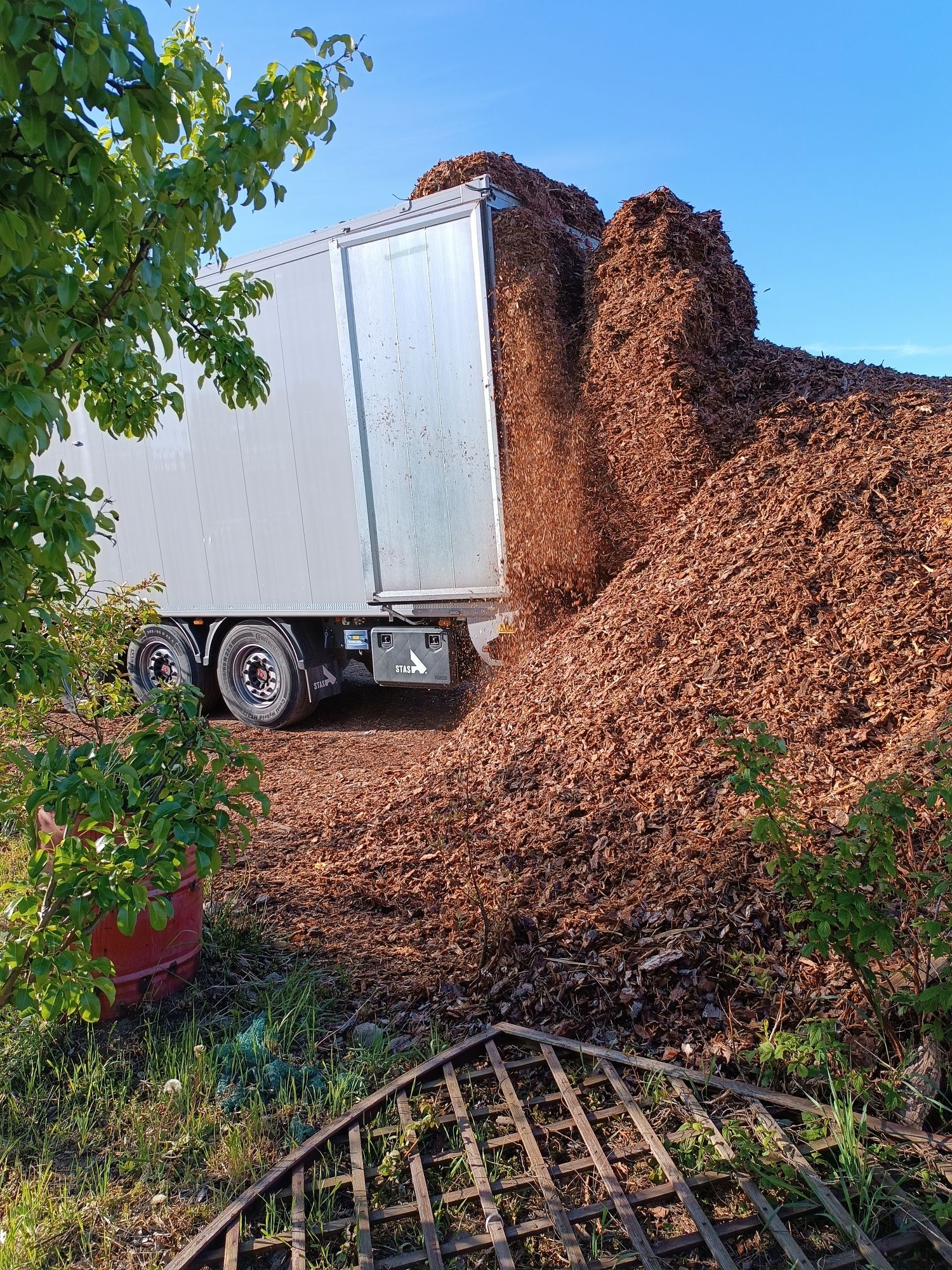 Kora sosnowa średnia gruba