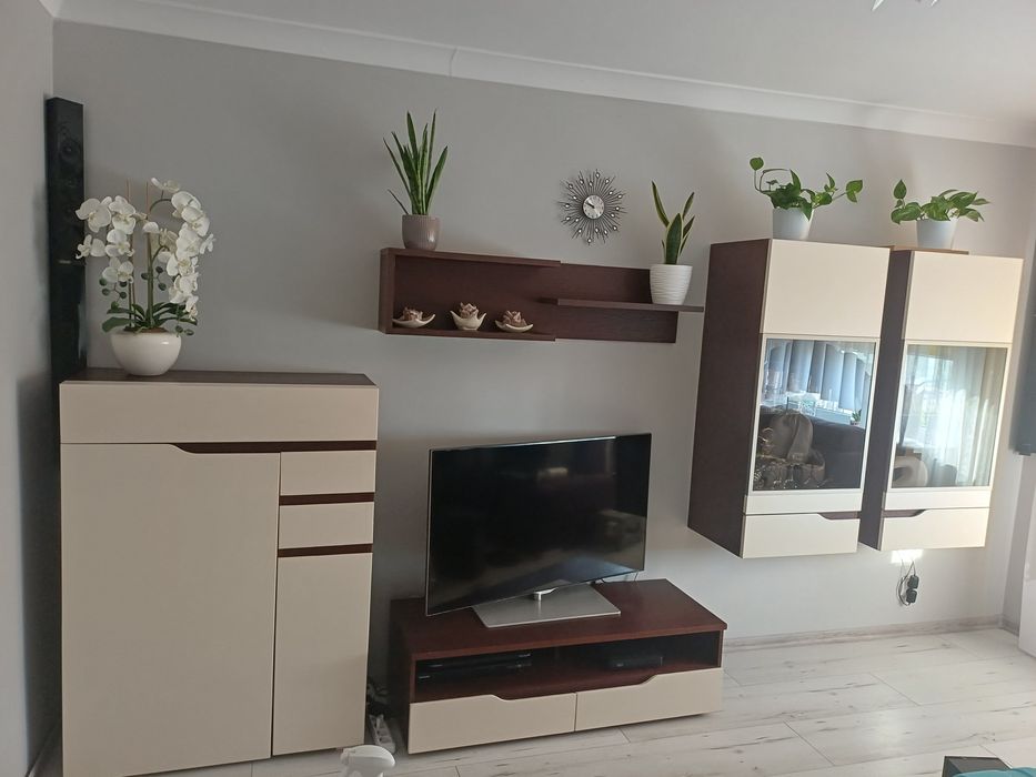 Zestaw używanych mebli do salonu