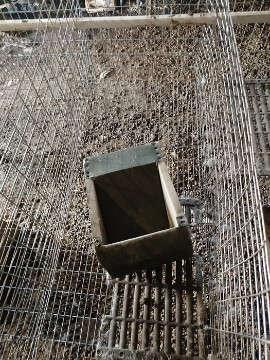 Клітки для кроликів