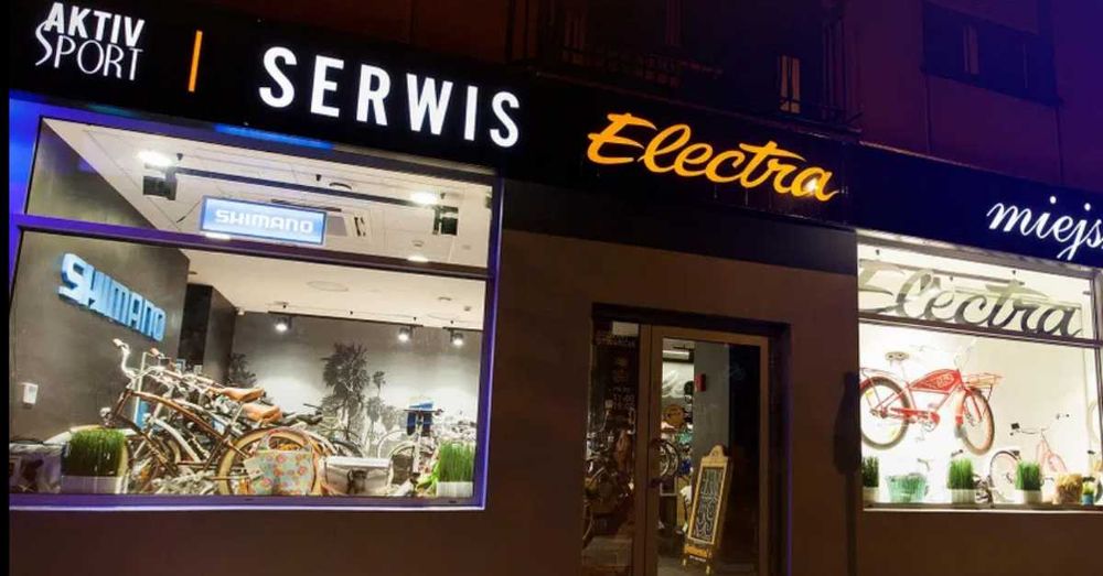 Miejski rower elektryczny Electra Loft Go! 7d EQ - 2025 - WYPRZEDAŻ