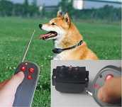 [Novo] Coleira de treino para cães Com ou Sem Choque