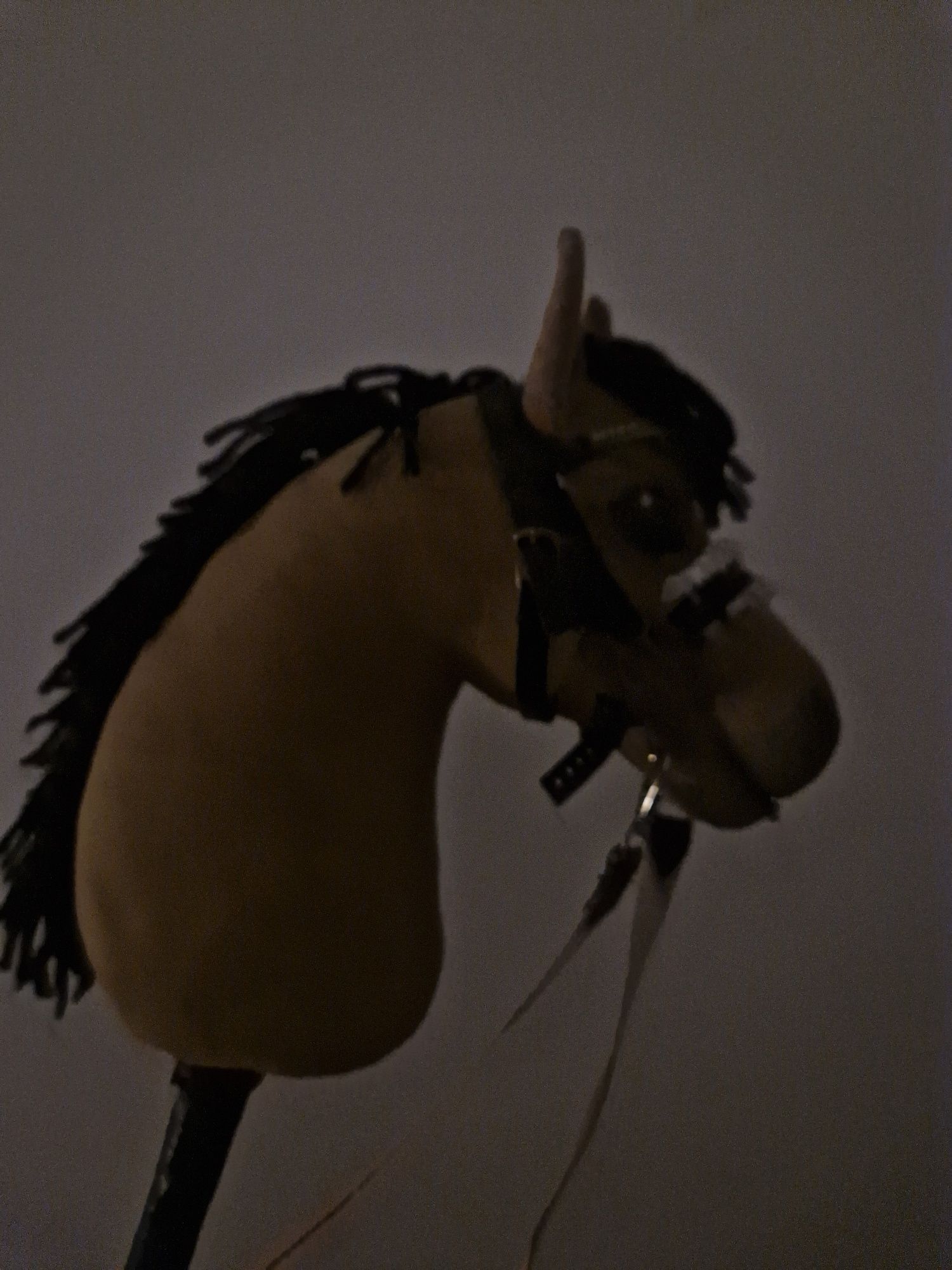 Hobby horse hodowli kll