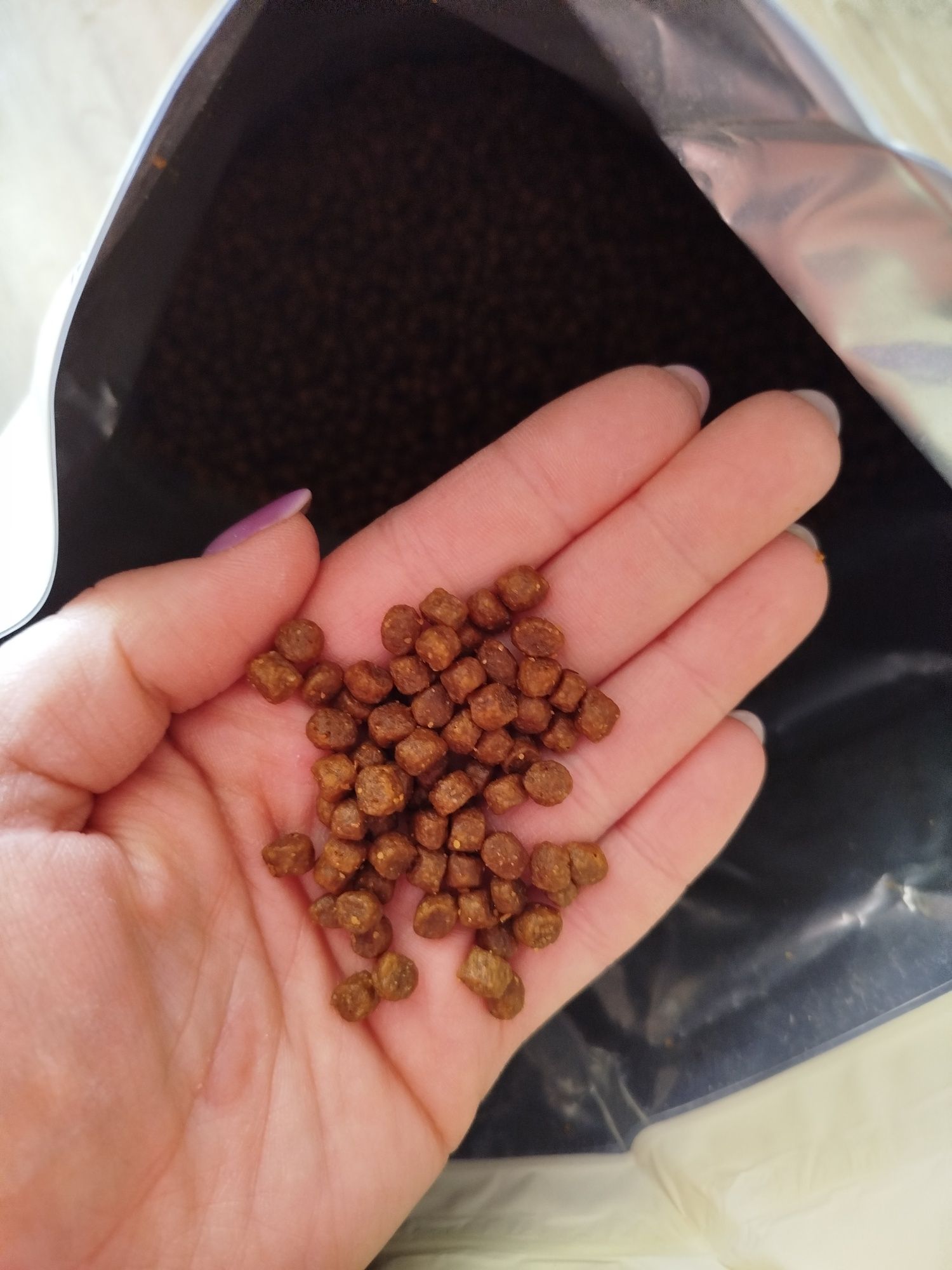 Karma Acana dog puppy small  5,3 KG