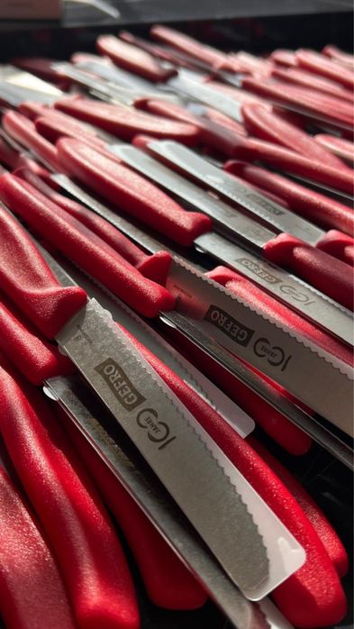 Оригінальні кухонні швейцарські ножі GEFRO