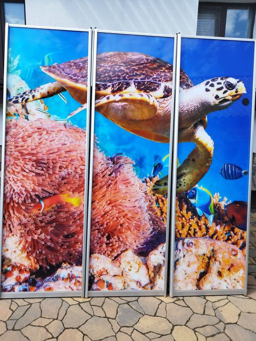 Продам двери фасады на шкаф-купе