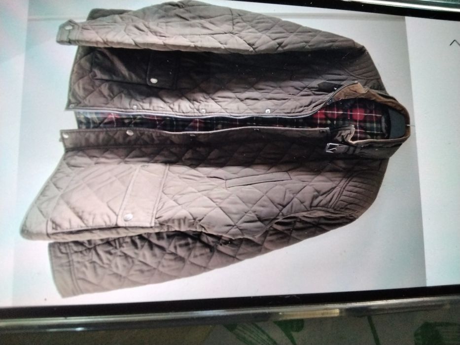 Quispo castanho forraco xadre