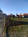 2 burrecos cruzados de mirandês