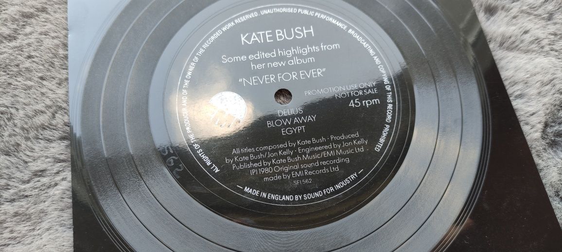 Kate Bush Never For Ever promo