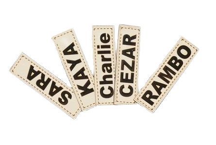 Legowisko Dla Psa Kojec Kingdog 100X75 Cm Wodoodporne Kości Złote