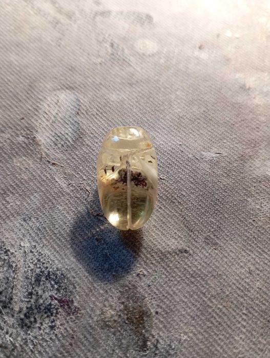 Жук из янтаря. подарок.