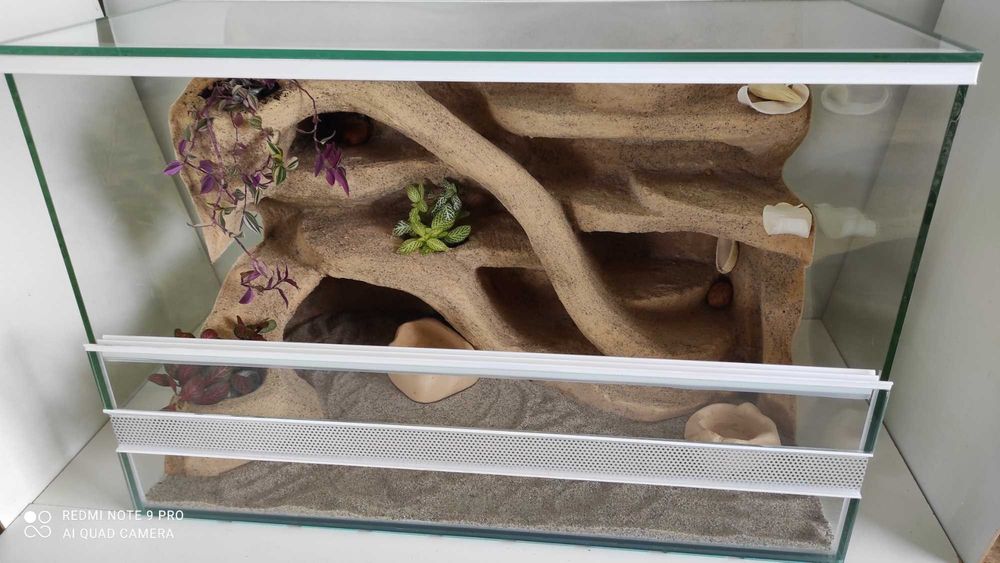 Terrarium dla gekona lamparciego z roślinami, TW36P2, AquaWaves