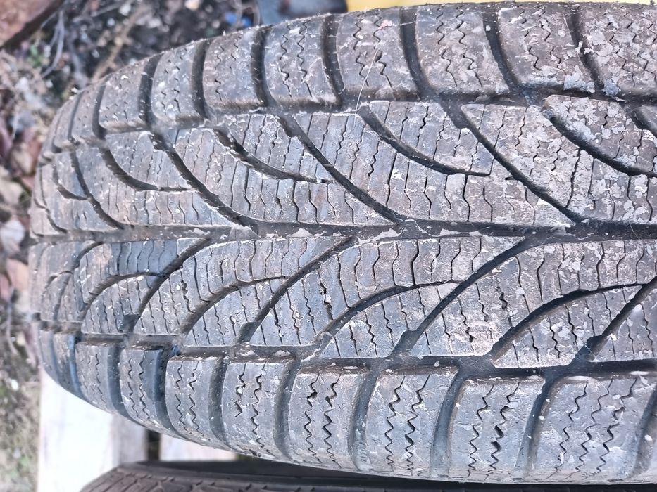 175 65 r14 зимова гума 2 шт Winer Paxaro