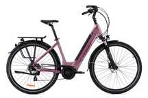 Rower STORM E-Diamond 4,0
