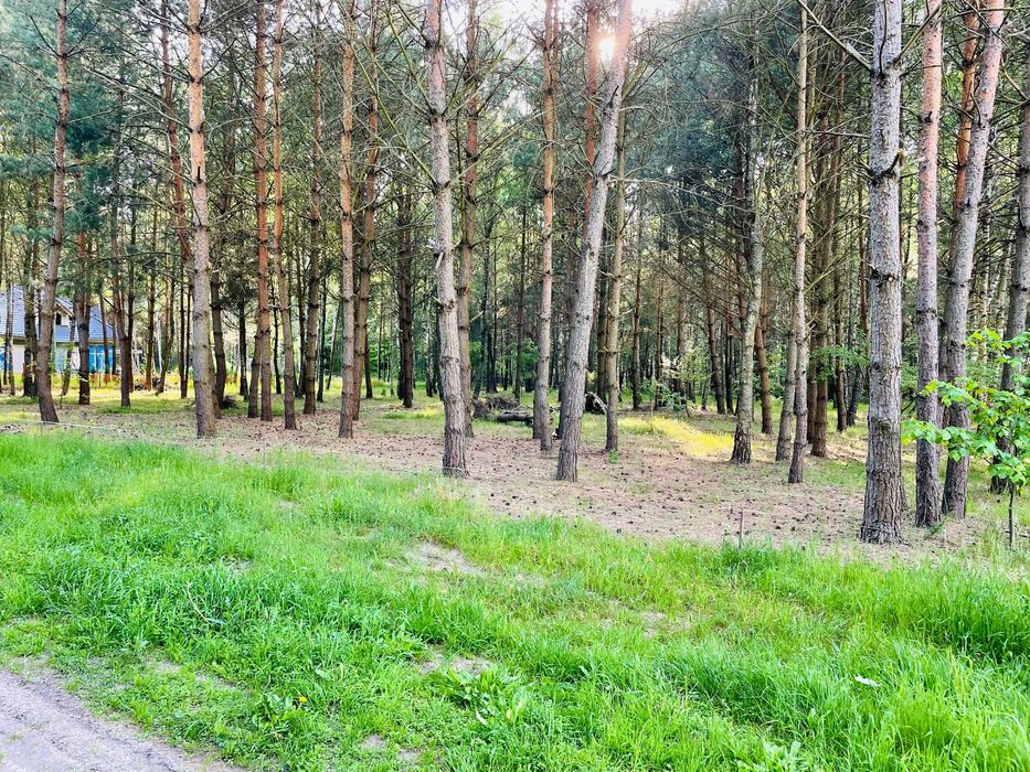 Tomawa - działki leśne z warunkami zabudowy, powierzchnia ok 2000m2.