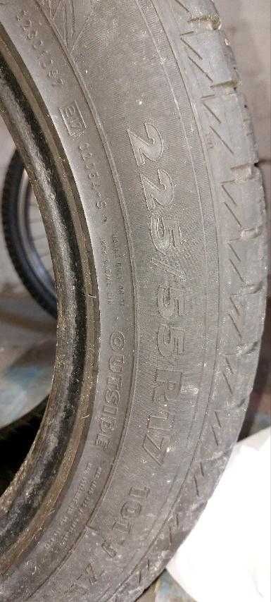 Nokian WR 101 V XL 225/55 R17