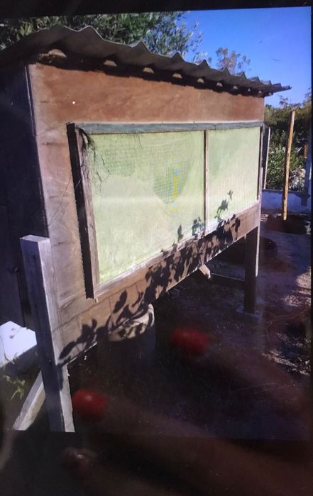 Coelheira usada em bom estado