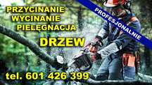 Czyszczenie działek, wycinka drzew i krzewów, rębak, kosiarka bijakowa