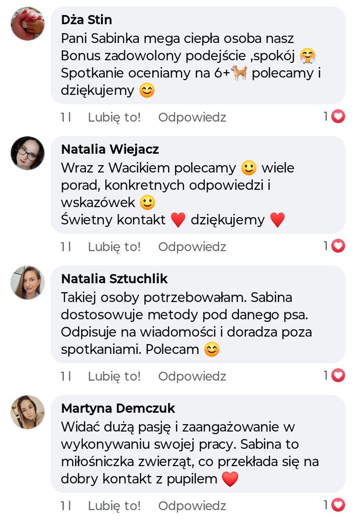 Zwierzak marzeń Behawiorysta psów i kotów