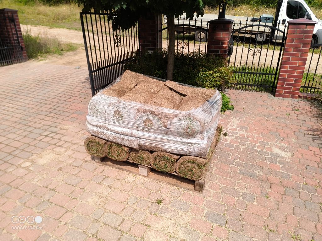 Trawa z rolki (została)