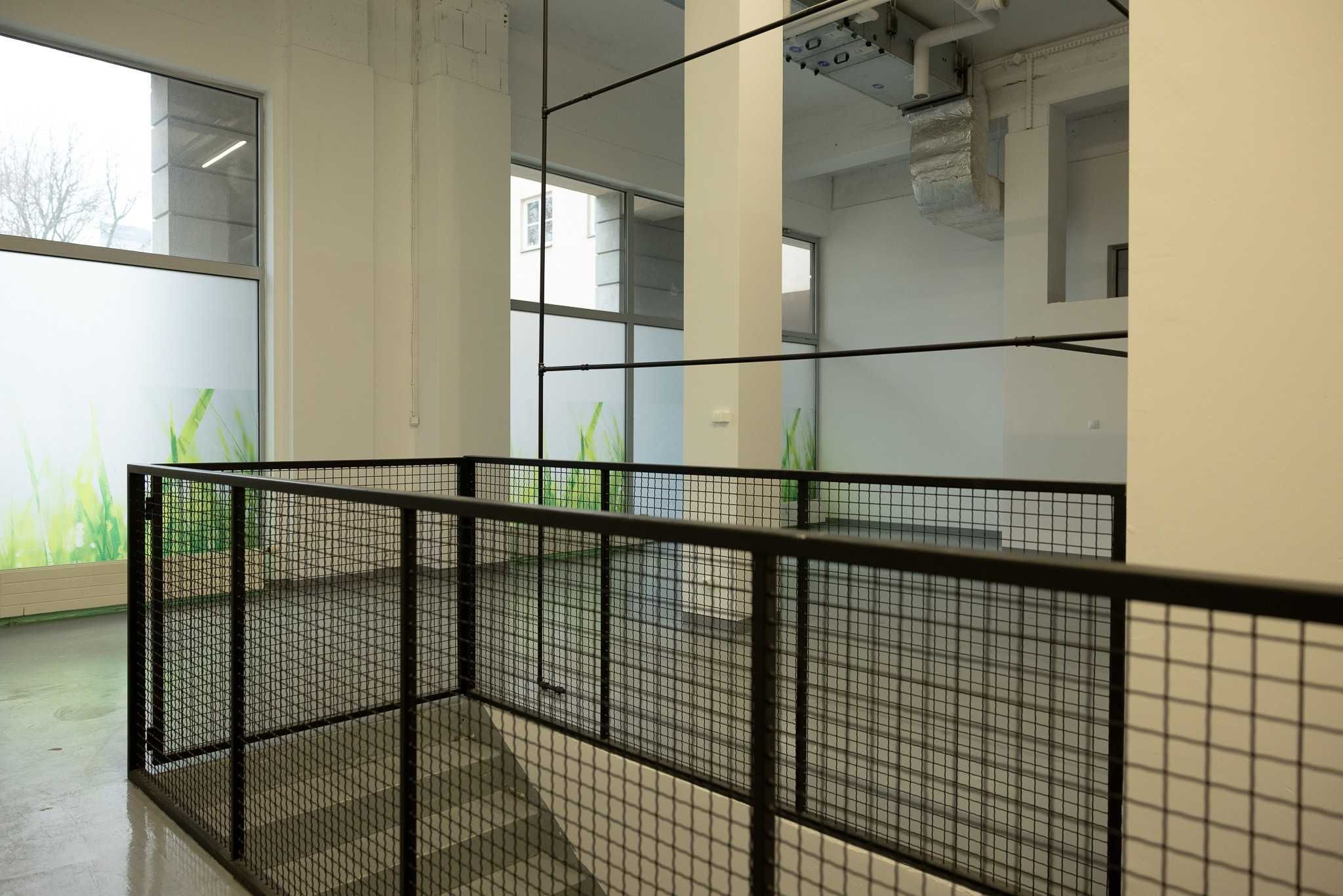 Lokal do wynajęcia - Śródmieście - 230,31m2