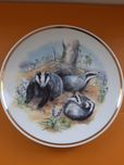 Prato Wildlife of Britain Badgers