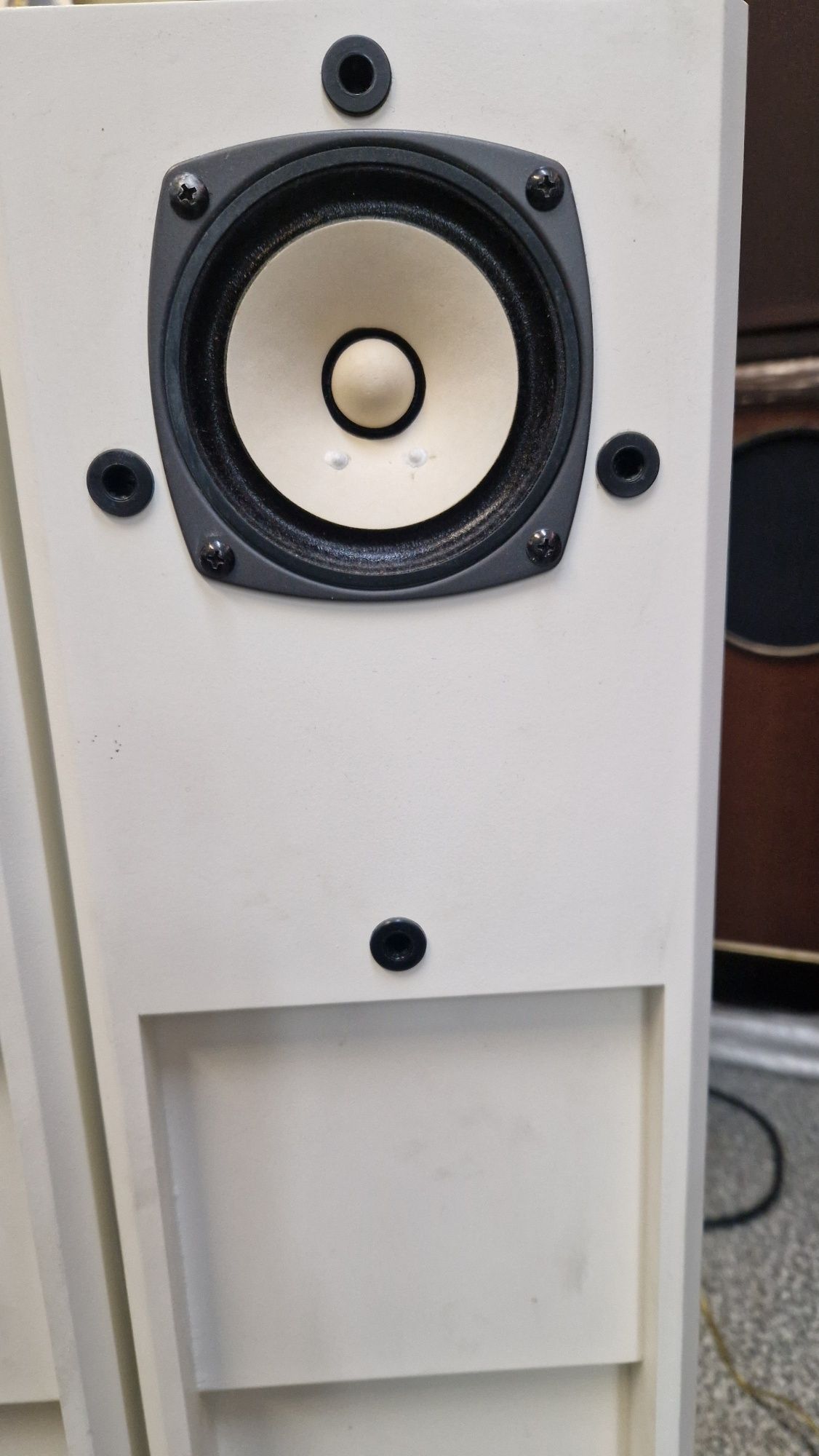Динаміки Fostex FE 103E в акустиці Лабіринт