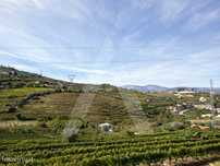 Quinta no Alto Douro - Região Demarcada do Douro