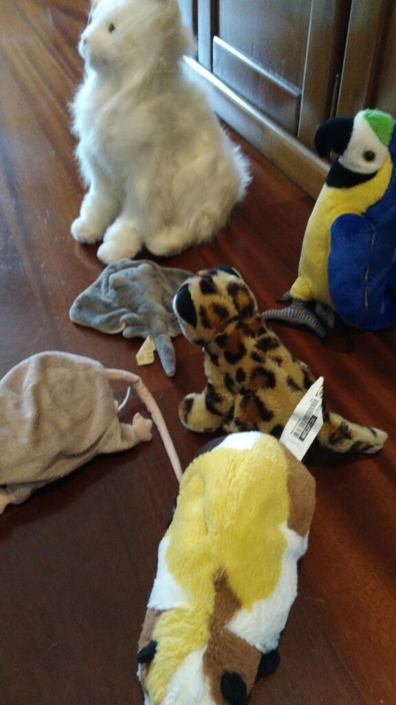 Peluches