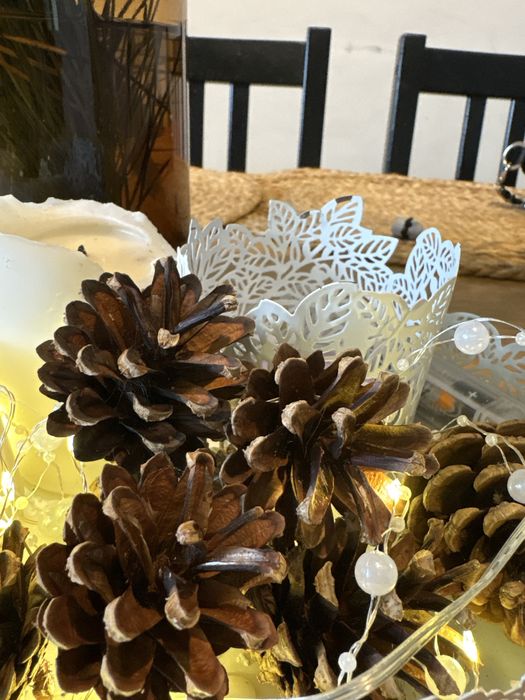 Szyszki sosna 500 sztuk