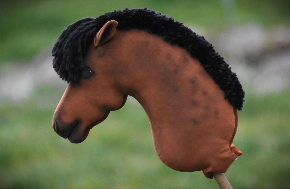 Hobby horse by aternon